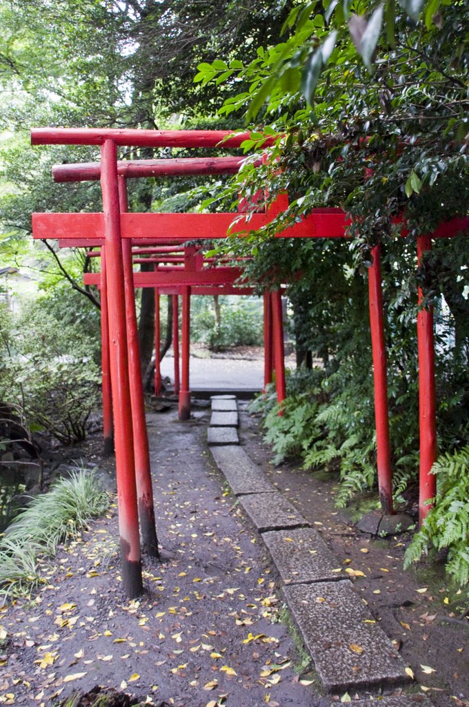 Inokashira Park Torii by SpaceportOrange