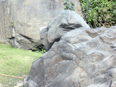 Www.piedrahuaca.com El Perro en el Bosque de Piedra de Piedra Huaca by piedrahuaca