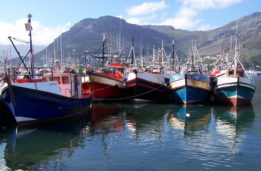 Fishing boats, Hout bay Harbour by Willem Viljoen