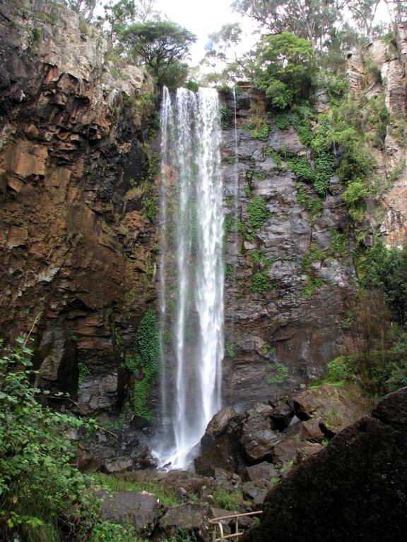 Queen Mary Falls, Killarney by Al Sweet