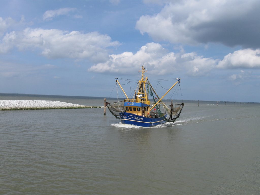 Der Krabbenkutter Neu 230. Ein Krabbenkutter ist ein speziell für den Fang von Nordseegarnelen (in der Küchensprache „Krabben“ oder „Granat“ genannt) ausgerüstetes flachbodiges Schiff, dass sowohl mit Kuttertakelung (ein Mast mit Auslegern für Großsegel, Klüver- Fock- und/oder Großtoppsegeln) oder als Gaffelketch auf Fangreise geht. by Volker Schlotmann