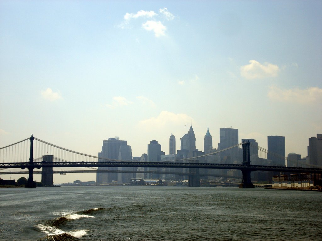 Manhattan from East River by jwvanderzalm