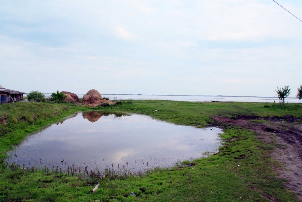 View of Sporovskoye lake by Victor Radivinovski