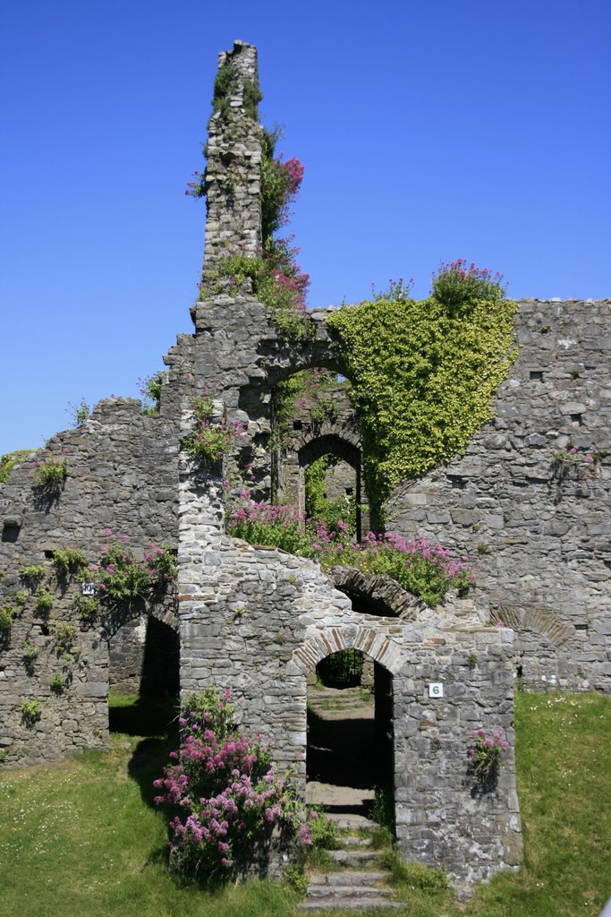 Oystermouth Castle by fillup