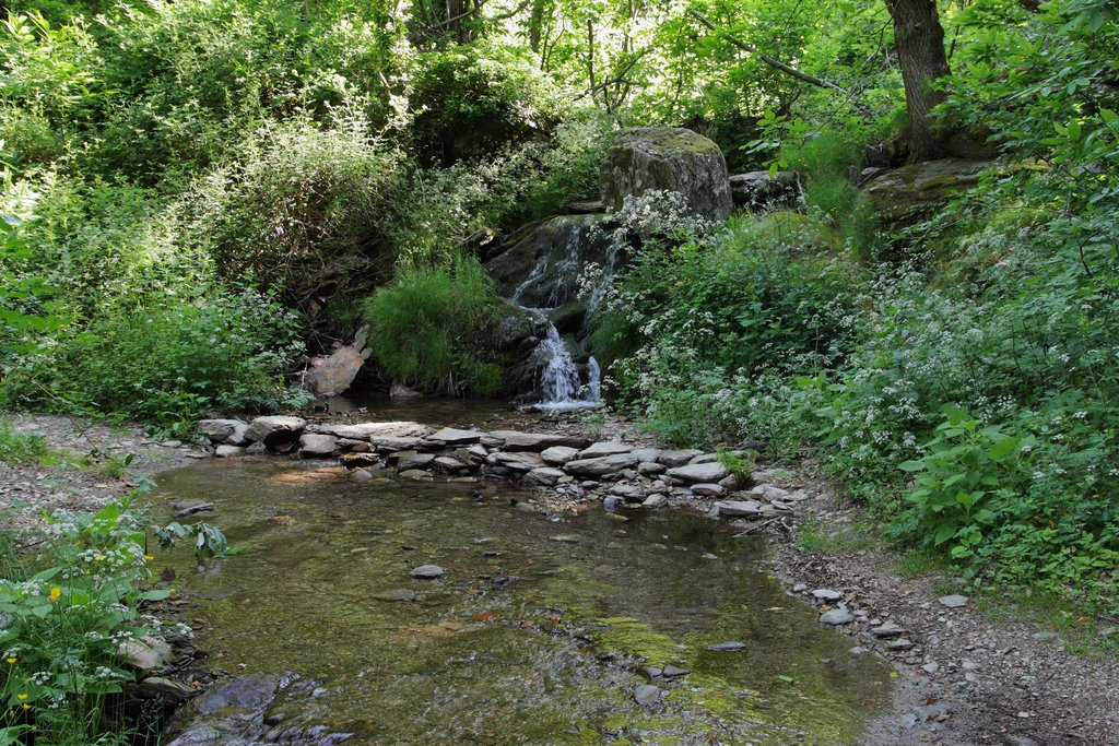 J11: Du Pont de Burgen au Col d'Uglas (5) by Jean Guillo