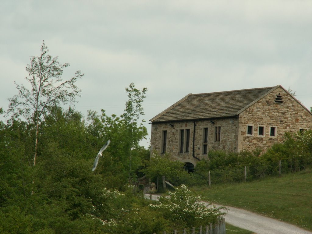 Grassholme reservoir by pinewolf