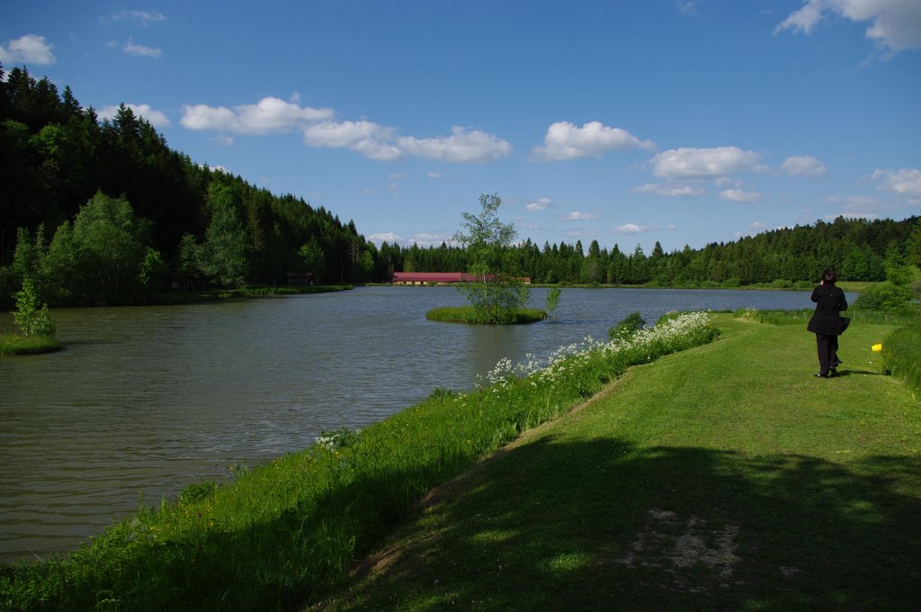 Ballade autour de l'etang by dunham