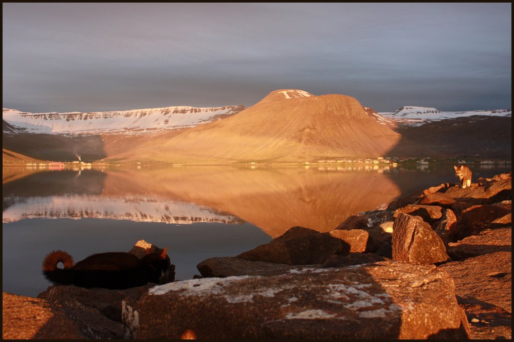 Ísafjörður, Engidalur, Pollurinn by Ómar Smári Kristinsson