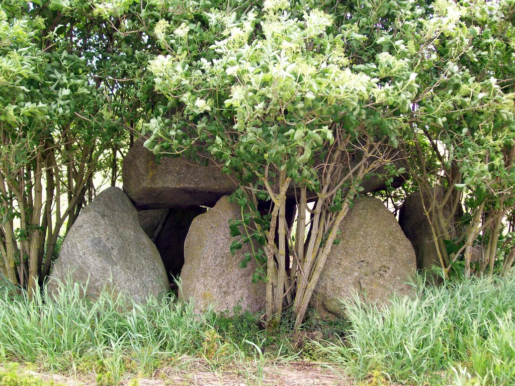 Germany_Mecklenburg_Plaaz_Dolmen_100_3691 by George Charleston