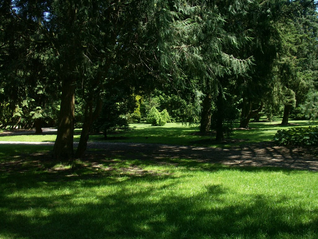 Pinetum B.W. Blijdenstein, Hilversum by c.s.