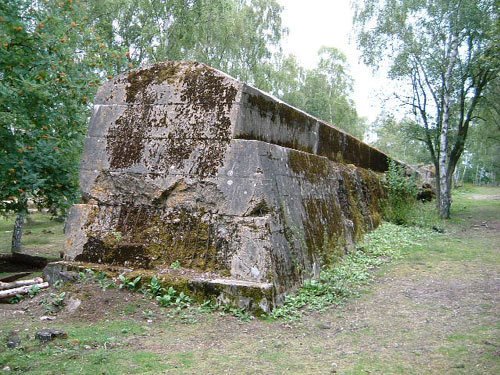 The Atlantic Wall, Hankley Common, Nr Tilford. by TurboT