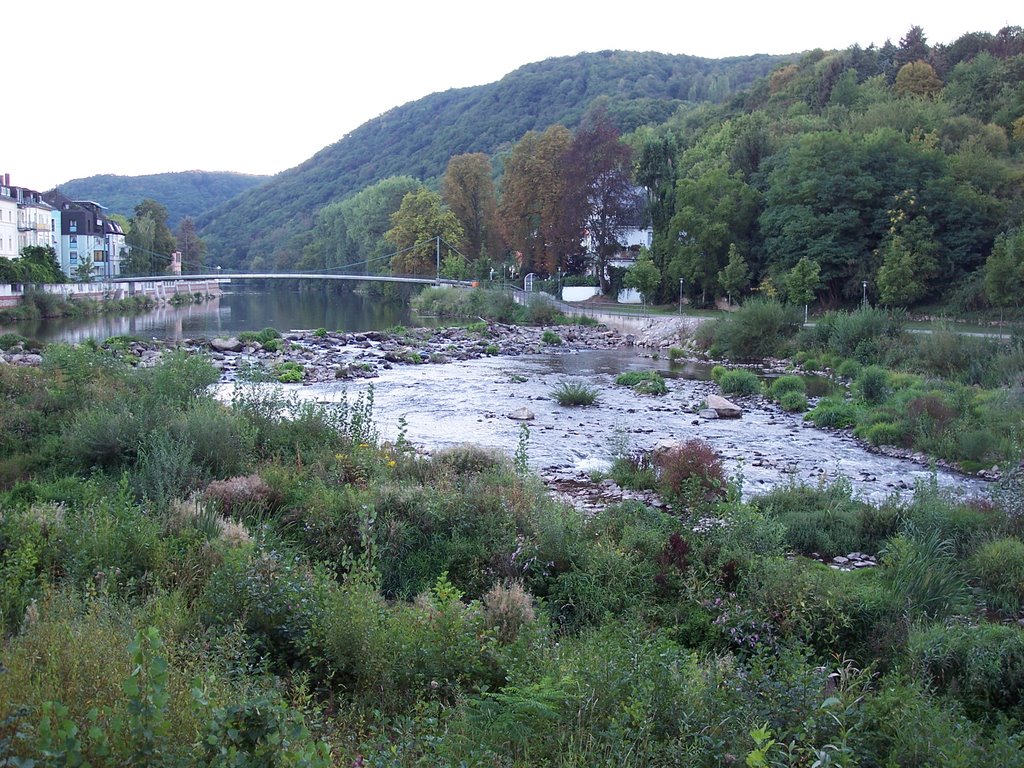 Fluss in Bad Kreuznach by djDarkflower