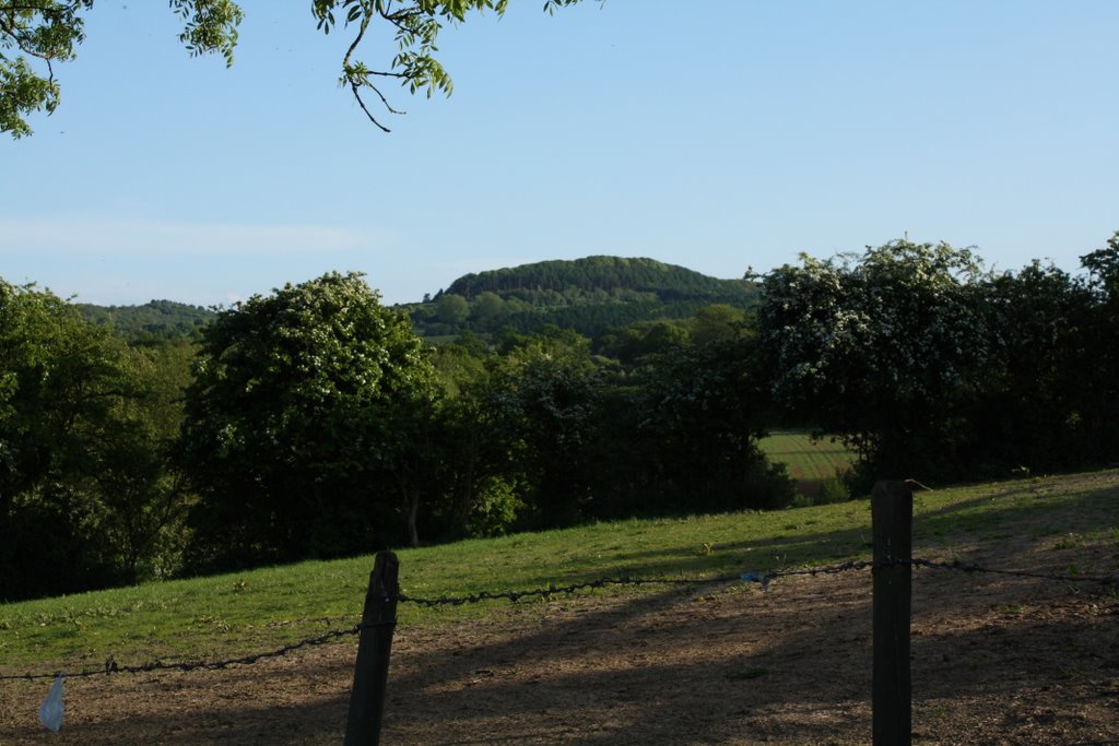 Near The Lutley Gutter (looking at clent) by stephen hale