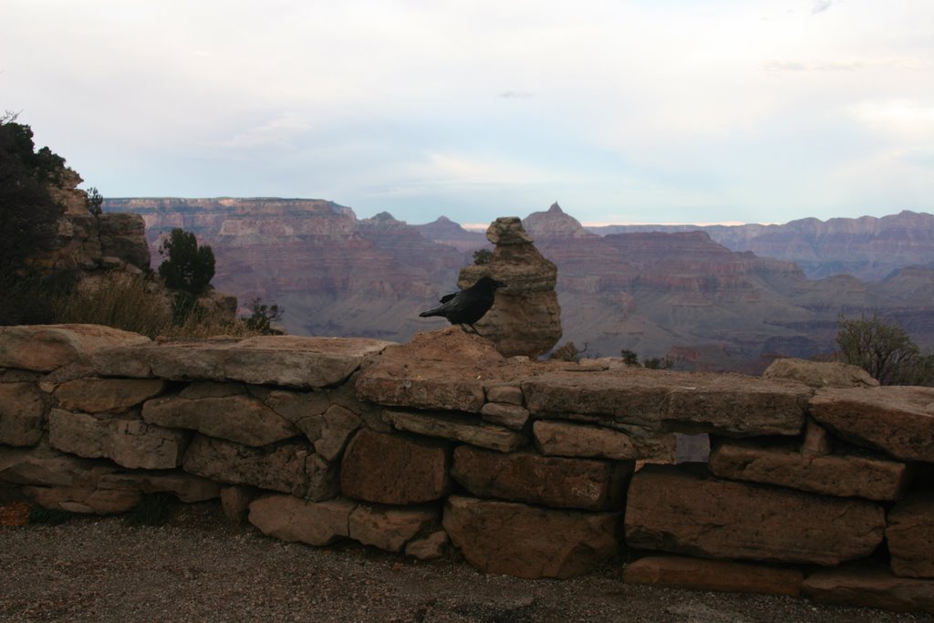 Grand View looking West by Warren Scoggin