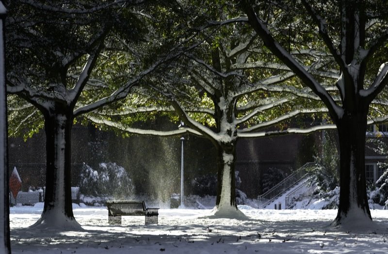 East Carolina University Mall by rbtvance