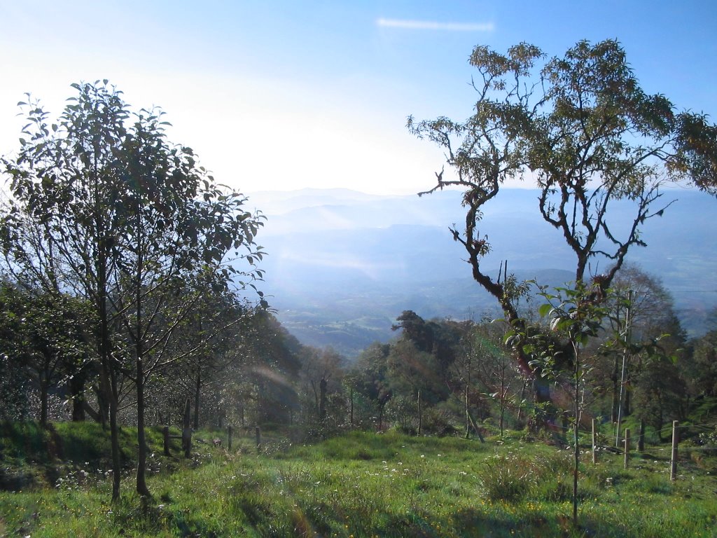 Vista desde El Canforro by Francisco Rojas