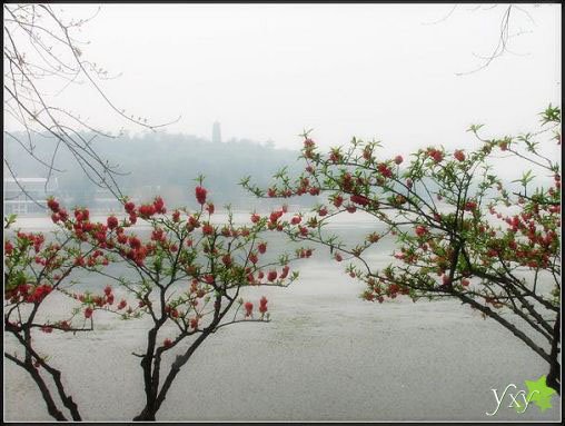 玄武湖(Xuanwu Lake) by 山水城林