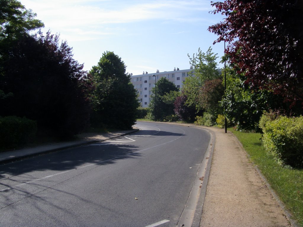 Avant le tram - Rue Jean Jaures by Didier GUEURET