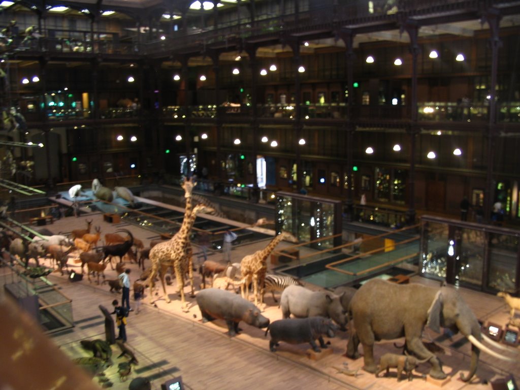 Museum d'Histoire Naturelle Paris by gregormcmillan