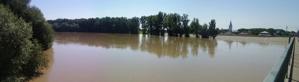 Tivadar, Tisza árvízkor by Vakond