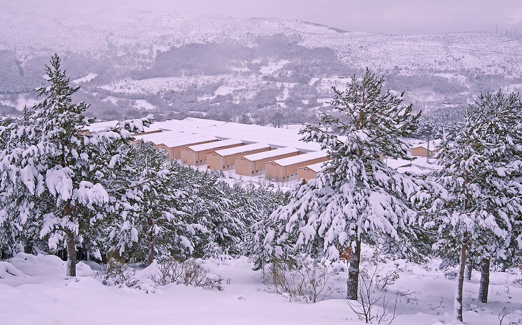 Secando los jamones en invierno Redondo Iglesias by mario.redondo