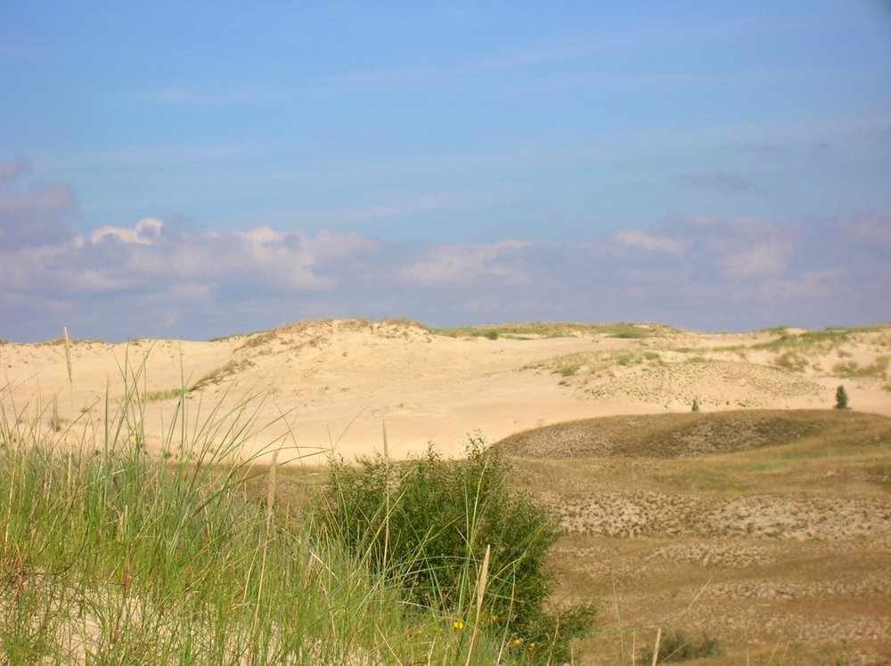 Dunes in Neringa by Laurynas