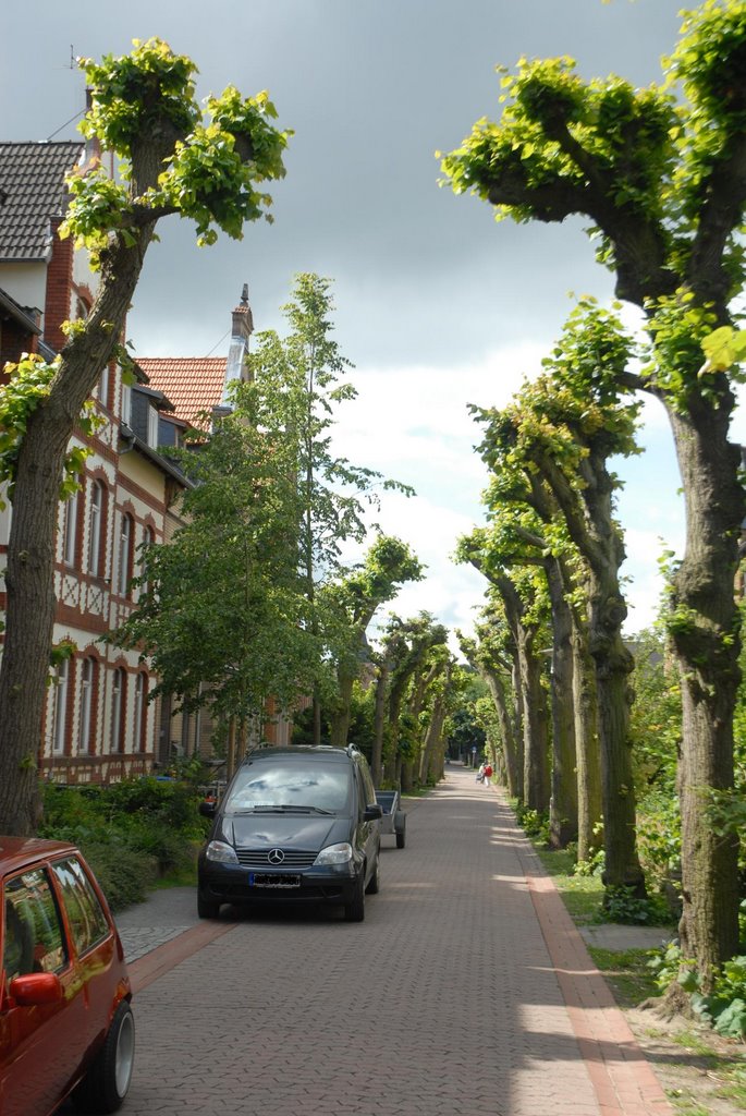 Schützenwall Helmstedt by Frank Gräber