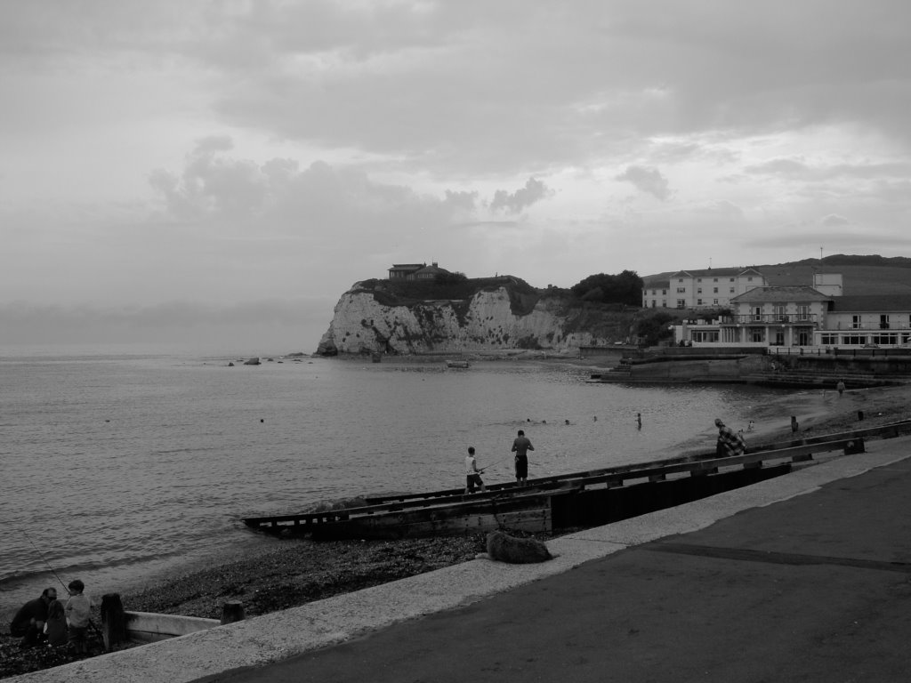 View of Freshwater Bay by Pickers