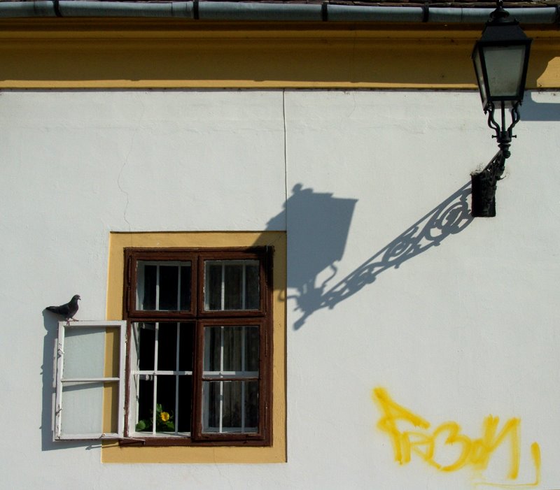 Window on Gutenberg ter - Gyor, Hungary by Frank Peter