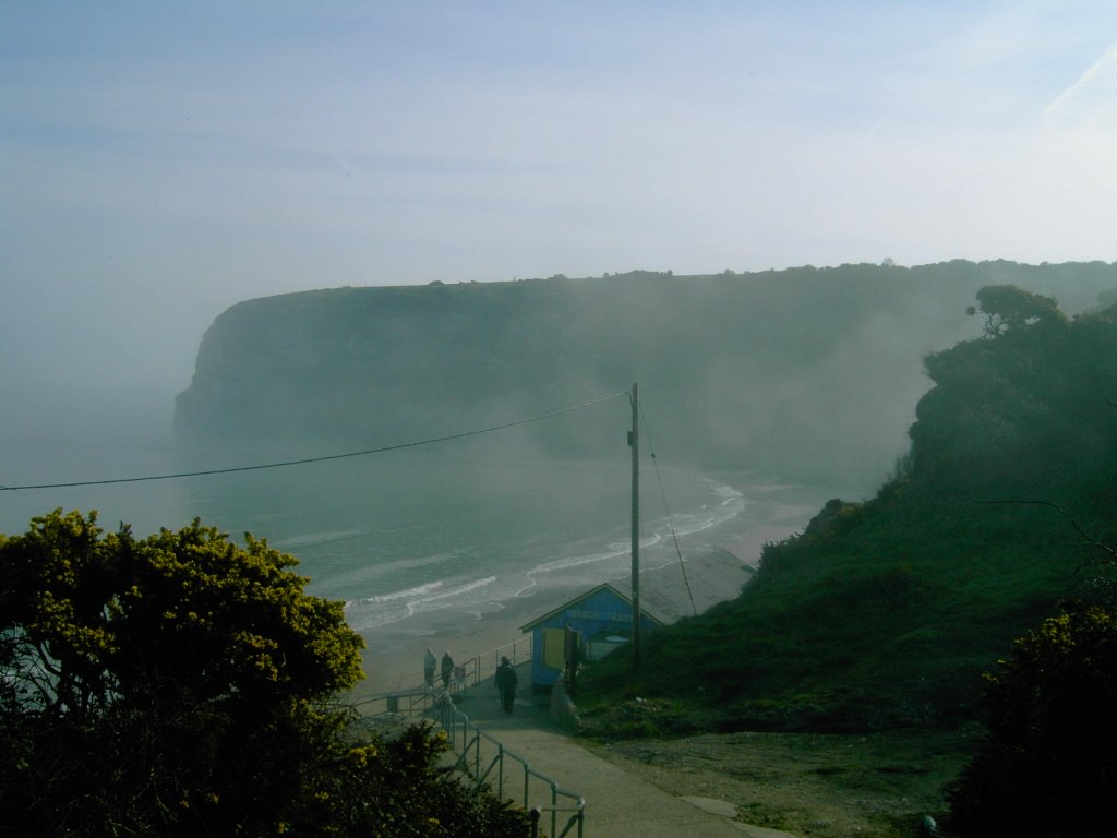 Culver Cliff when slightly misty by Pickers