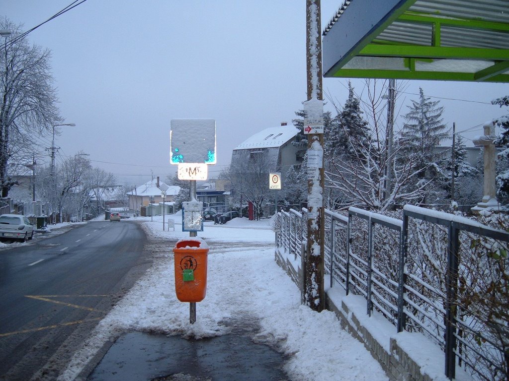 Buszmegálló télen / Bus stop in winter by vr_caveman