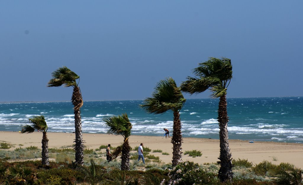 Kum, 33900 Taşucu/Silifke/Mersin, Turkey by Eva Kraychek