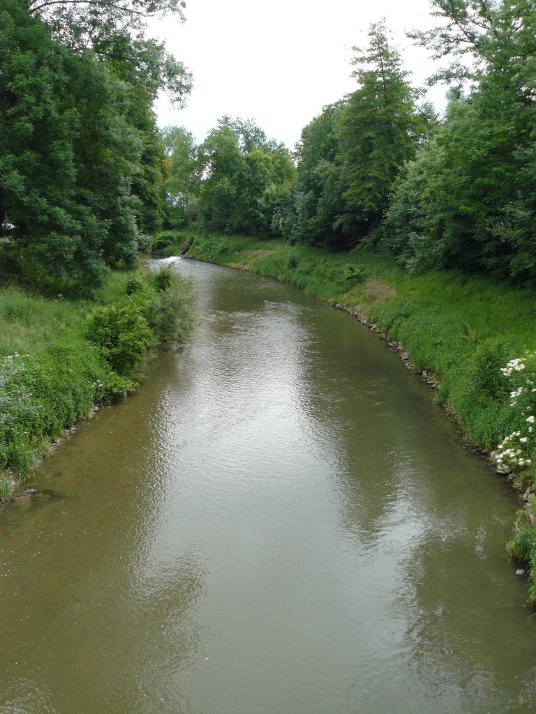 Die Rems in der Erlensiedlung 06.2009 by jerukmanis