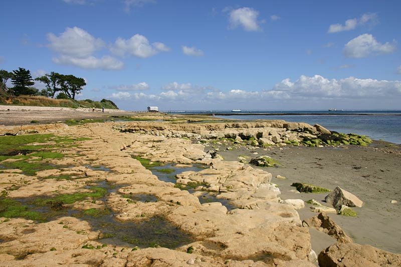 Bembridge Beach by Pickers