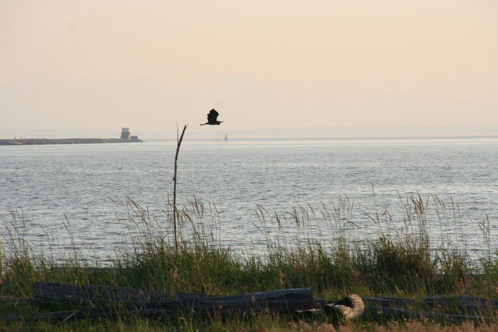 Iona breakwater , outfall and Old Blue by a3a35919