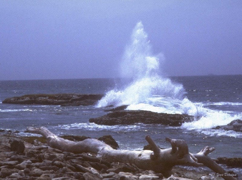 Iles -Venezuela by Yves Delvigne