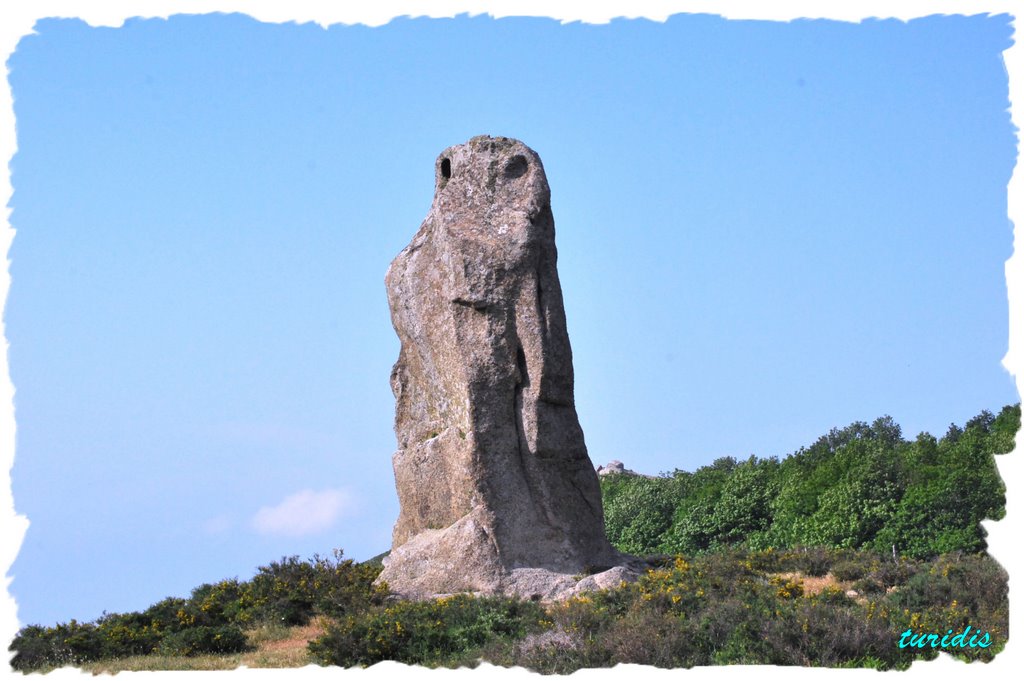 I Menhir siciliani dell'Argimusco by ® turidis