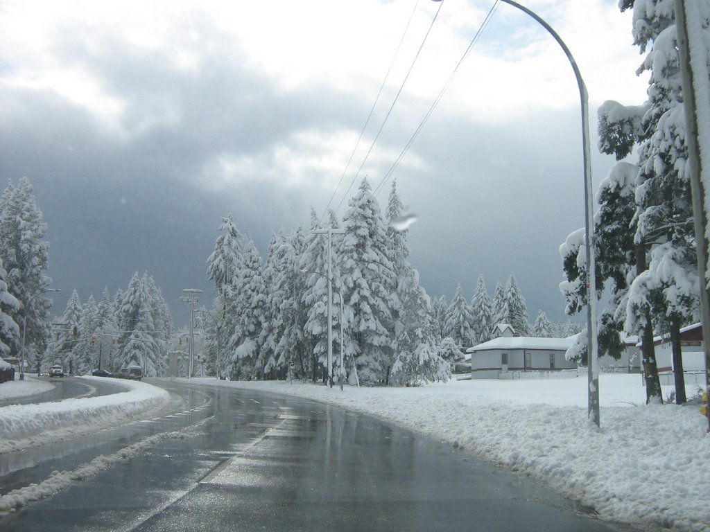 Uplands Drive - looking east - near Song Bird Place by Gordon Niamath