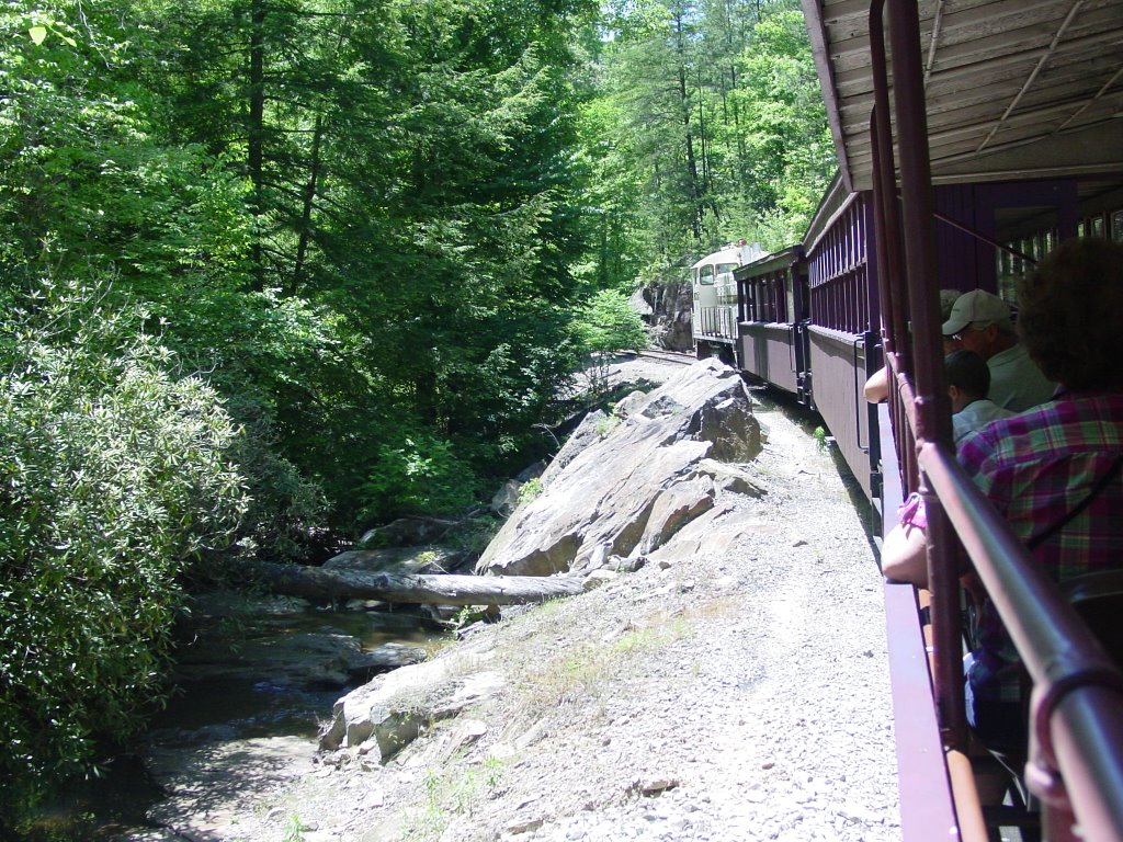 Train on the way to Blue Huron Mining Camp by CaptainJohn