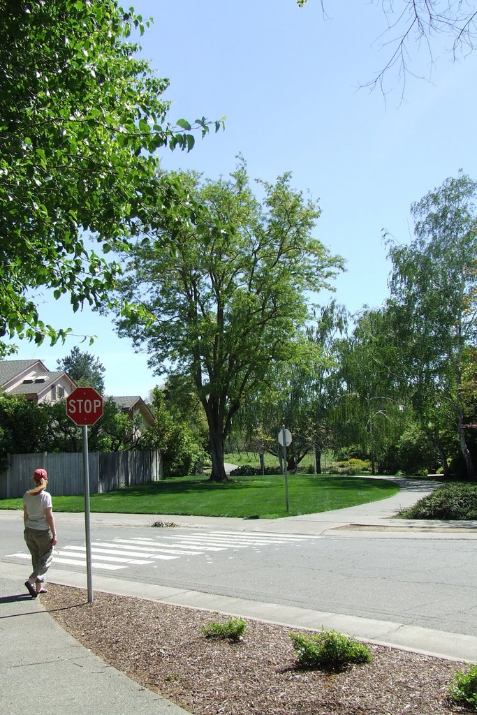 Village Homes, street crossing by AHxJB