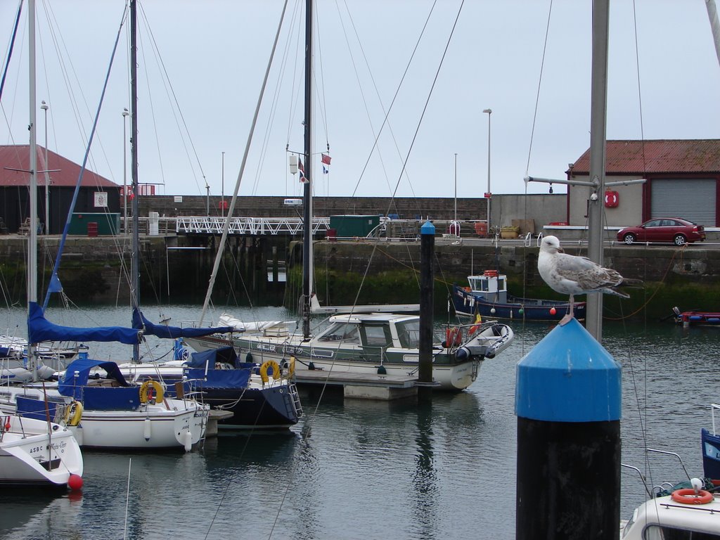 Arbroath inner harbout tide gate by Idiens