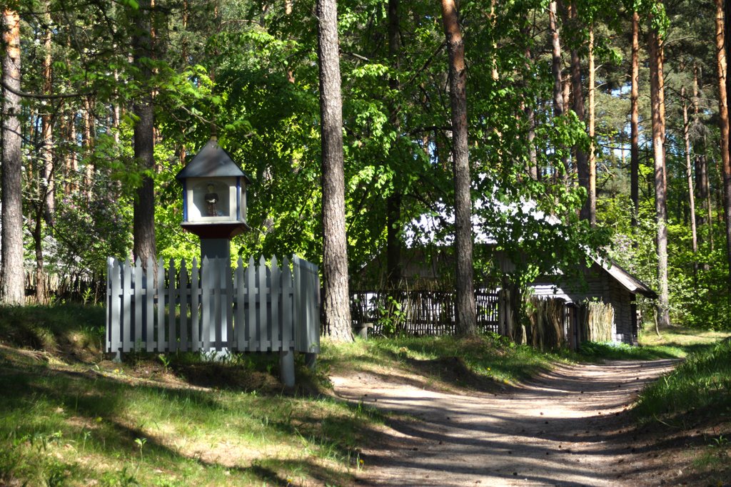 Open Air Museum (Latvia, Riga) by Tornny