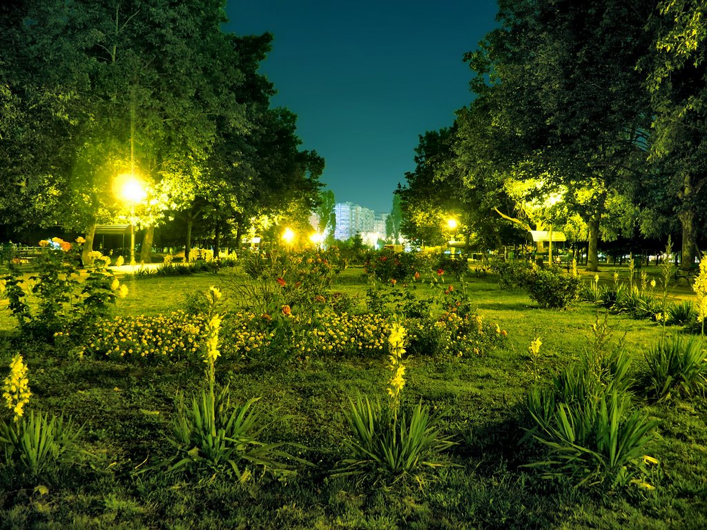 Crangasi Park at night by phaser09