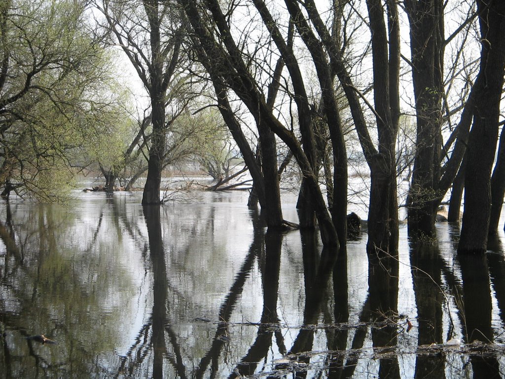 Gribanovsky District, Voronezh Oblast, Russia by polecat77