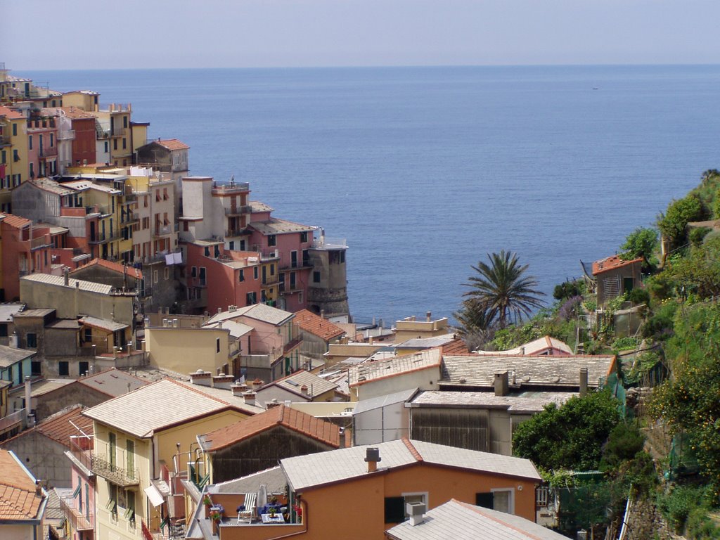 Manarola by lachip