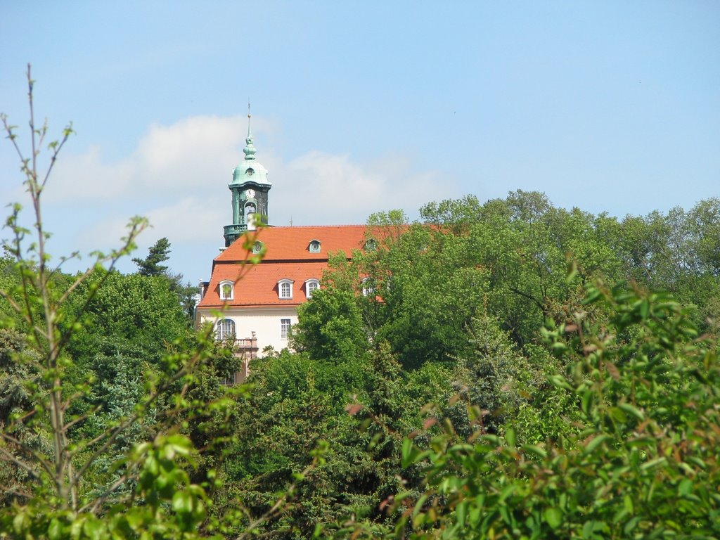 Schloss Lichtenwalde by Rudolf Henkel