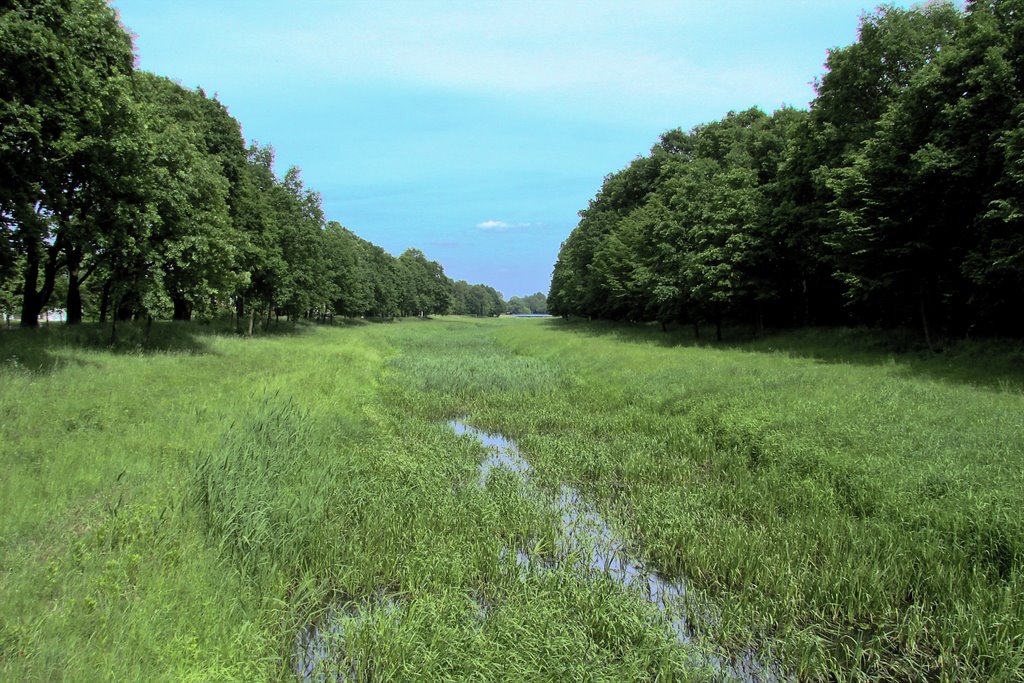 Schwarze Elster am Niemtscher Park by stdr