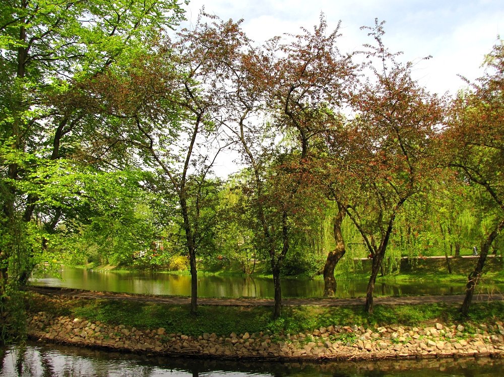 Park Miejski im. Książąt Pomorskich by fajna_asia