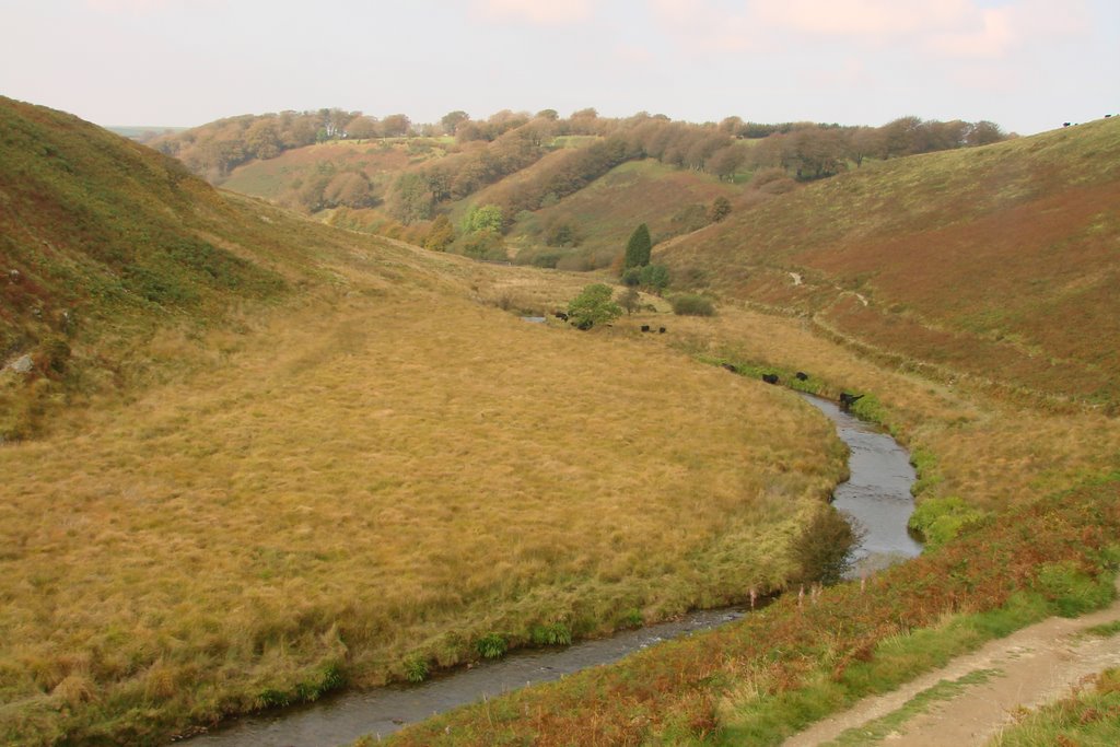 The Barle near Simonsbath by Tim.Nicholls