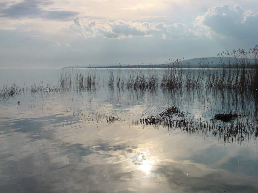 Tavaszi Balaton by m.laco